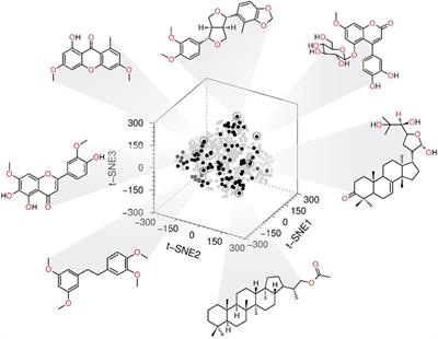 Discovery of inhibitors of protein tyrosine phosphatase 1B contained in a natural products library from Mexican medicinal plants and fungi using a combination of enzymatic and in silico methods**